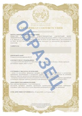 Образец Сертификат СТО 01.064.00220722.2-2020 Нижнекамск Сертификат СТО 01.064.00220722.2-2020 