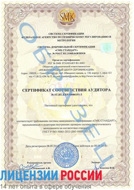 Образец сертификата соответствия аудитора №ST.RU.EXP.00006191-3 Нижнекамск Сертификат ISO 50001