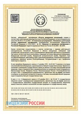 Приложение к сертификату для ИП Нижнекамск Сертификат СТО 03.080.02033720.1-2020